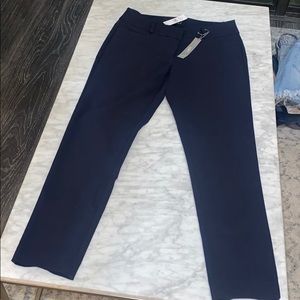 LOFT Hi waist curvy skinny brand new!